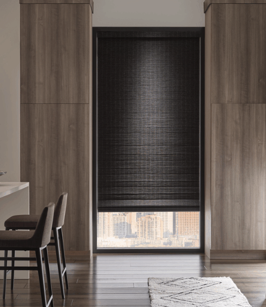 Room Darkening Window Shades