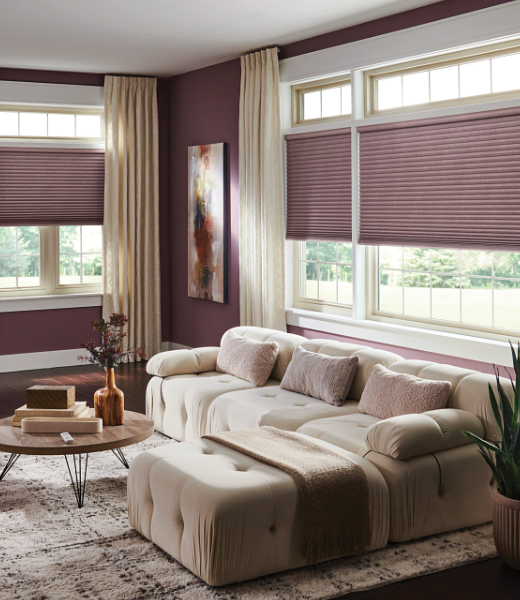 Modern window shades in an upscale living room.